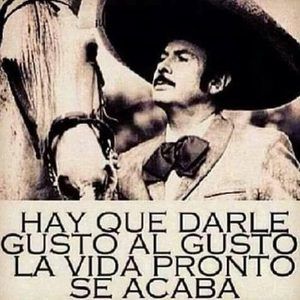 Meet your Posher, Panfilo